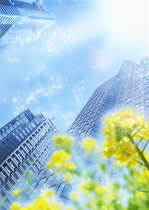 Фоторольшторы фото